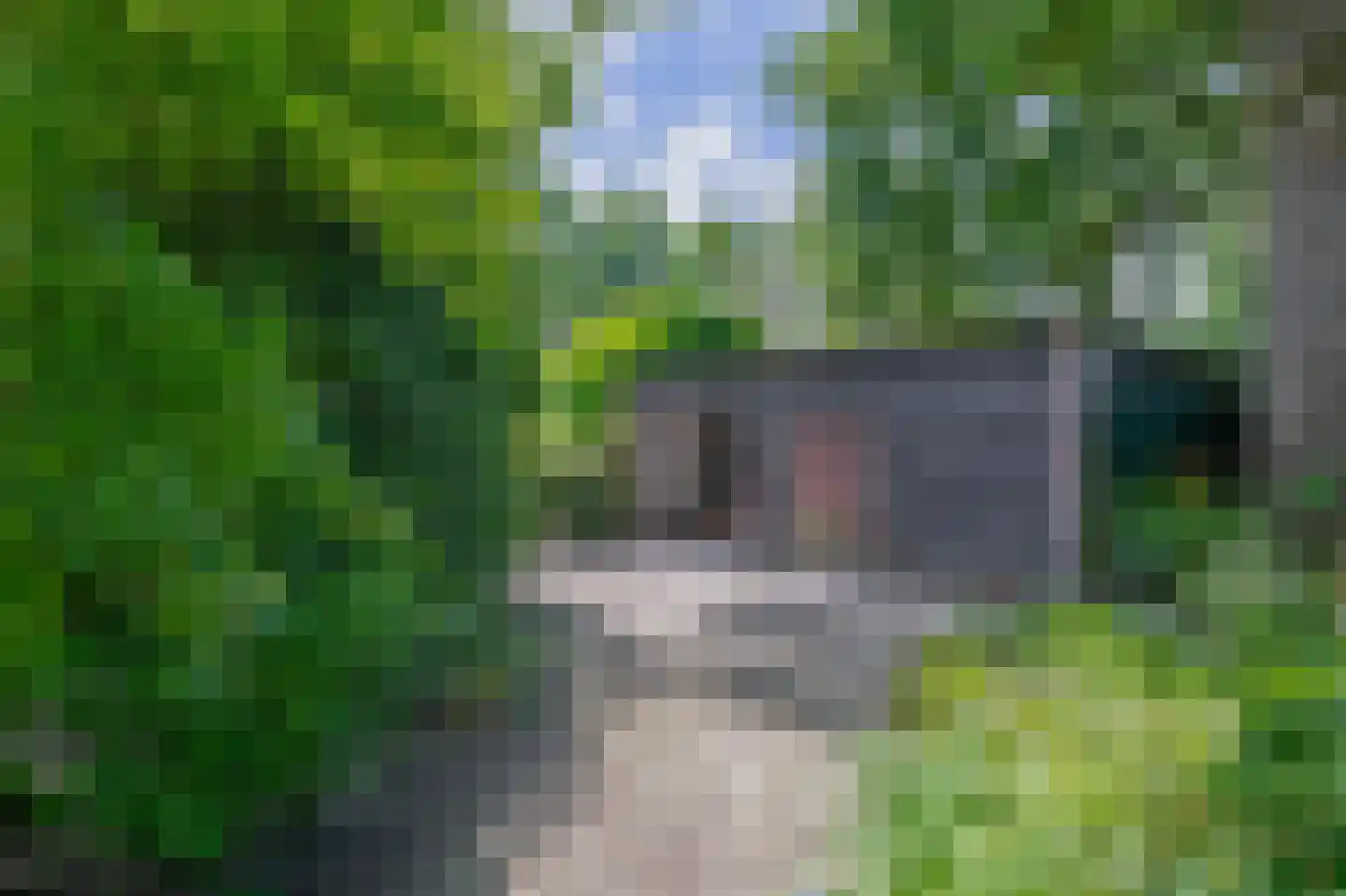 De Vliegert 18 Hapert thumbnail 52