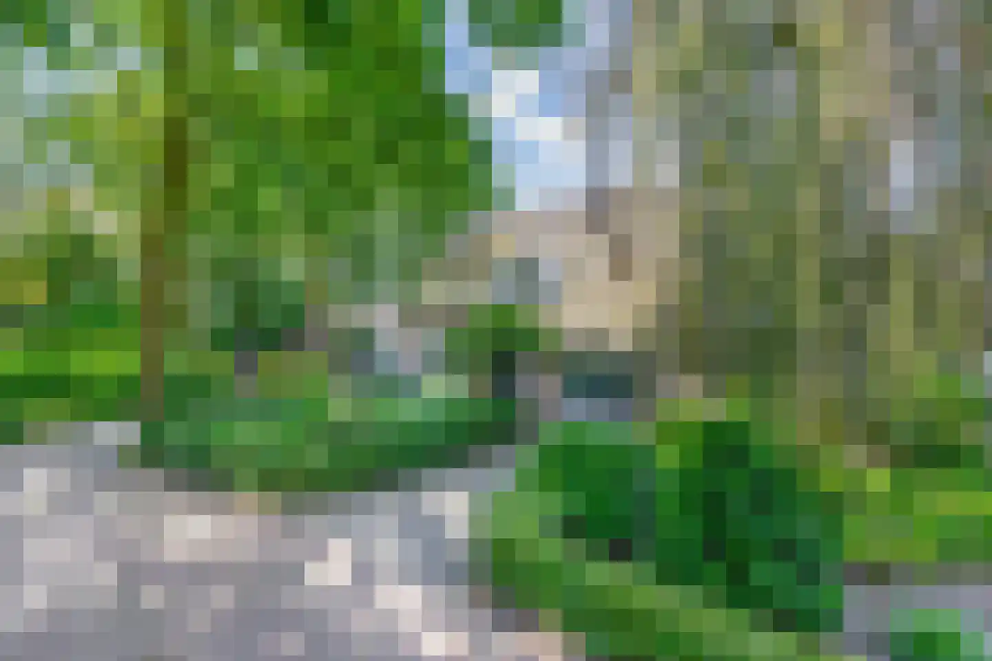 De Vliegert 18 Hapert thumbnail 63