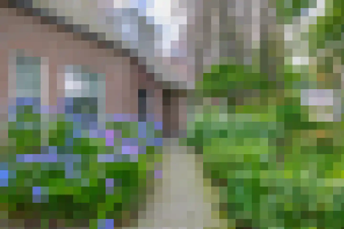 De Vliegert 18 Hapert thumbnail 65