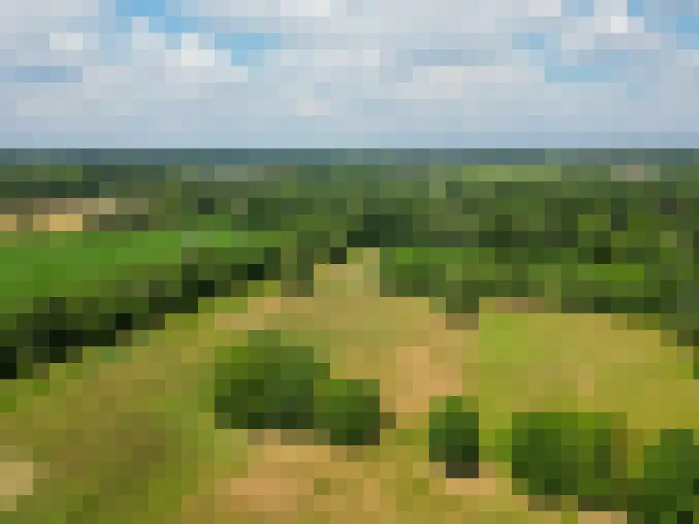 De Vliegert 18 Hapert thumbnail 67