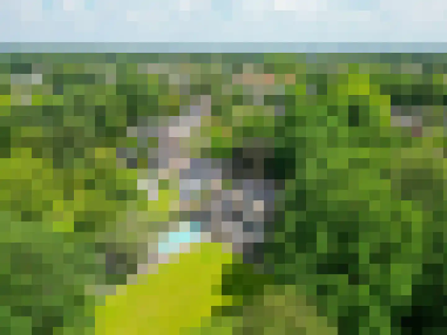 De Vliegert 18 Hapert thumbnail 69
