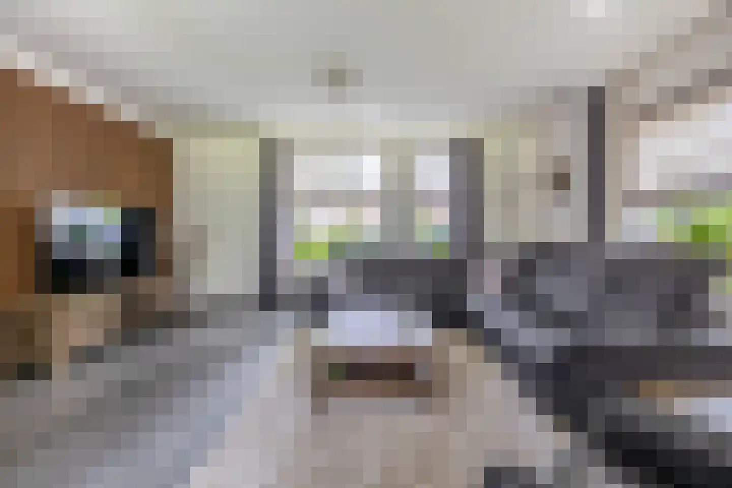 De Vliegert 18 Hapert thumbnail 8