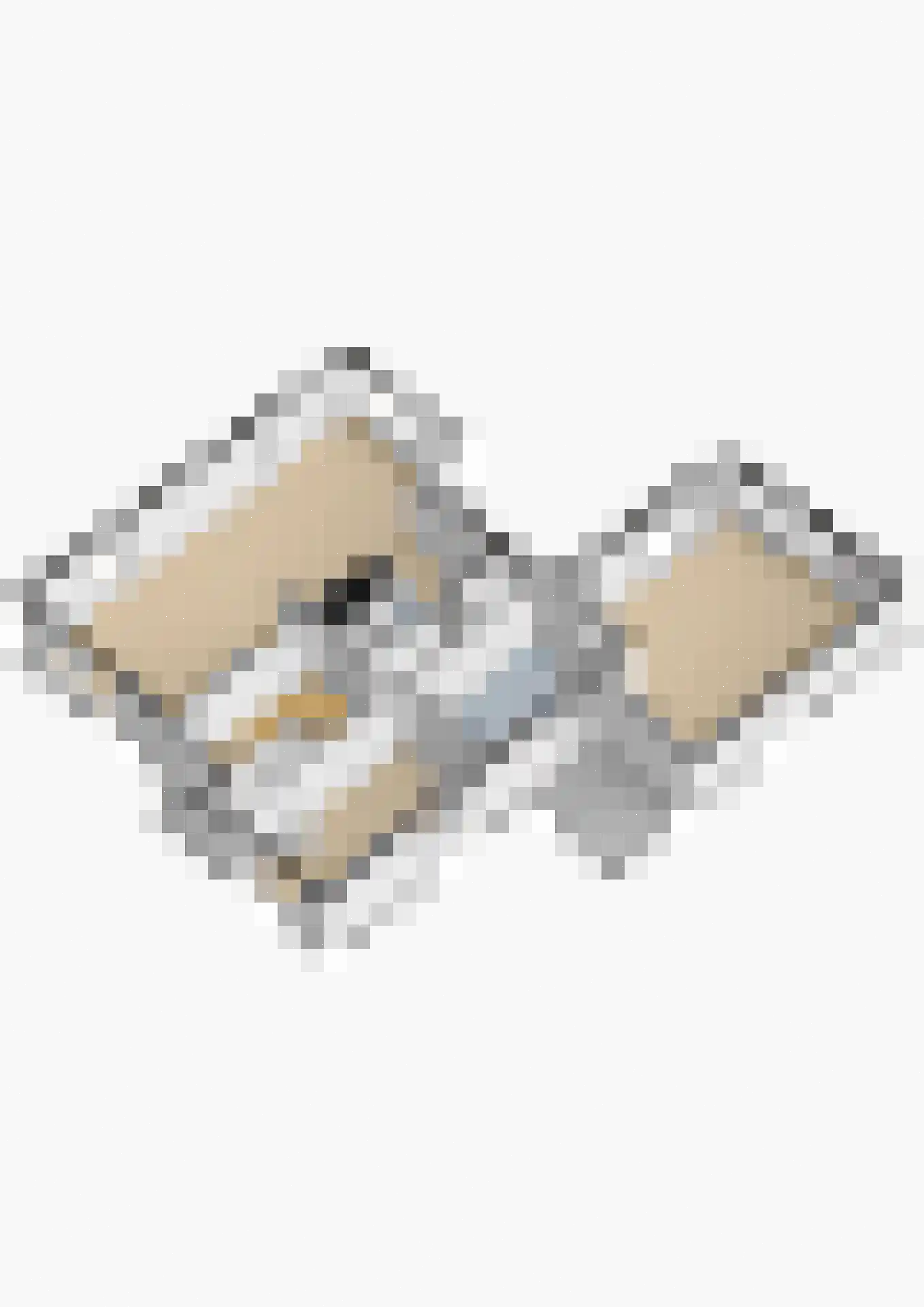 De Vliegert 18 Hapert thumbnail 80