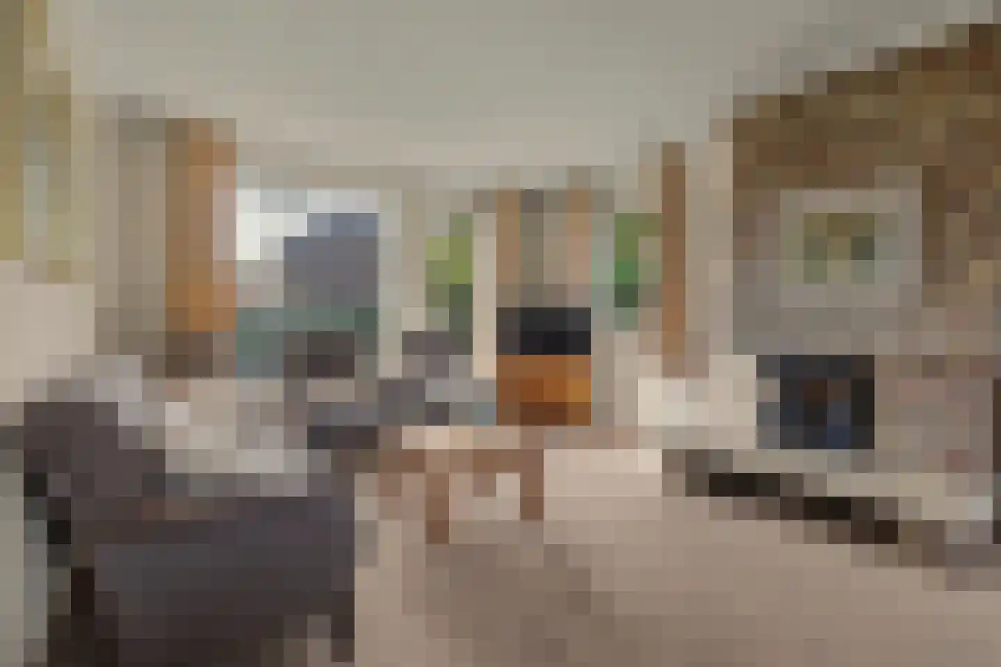 De Vliegert 2 Hapert thumbnail 13