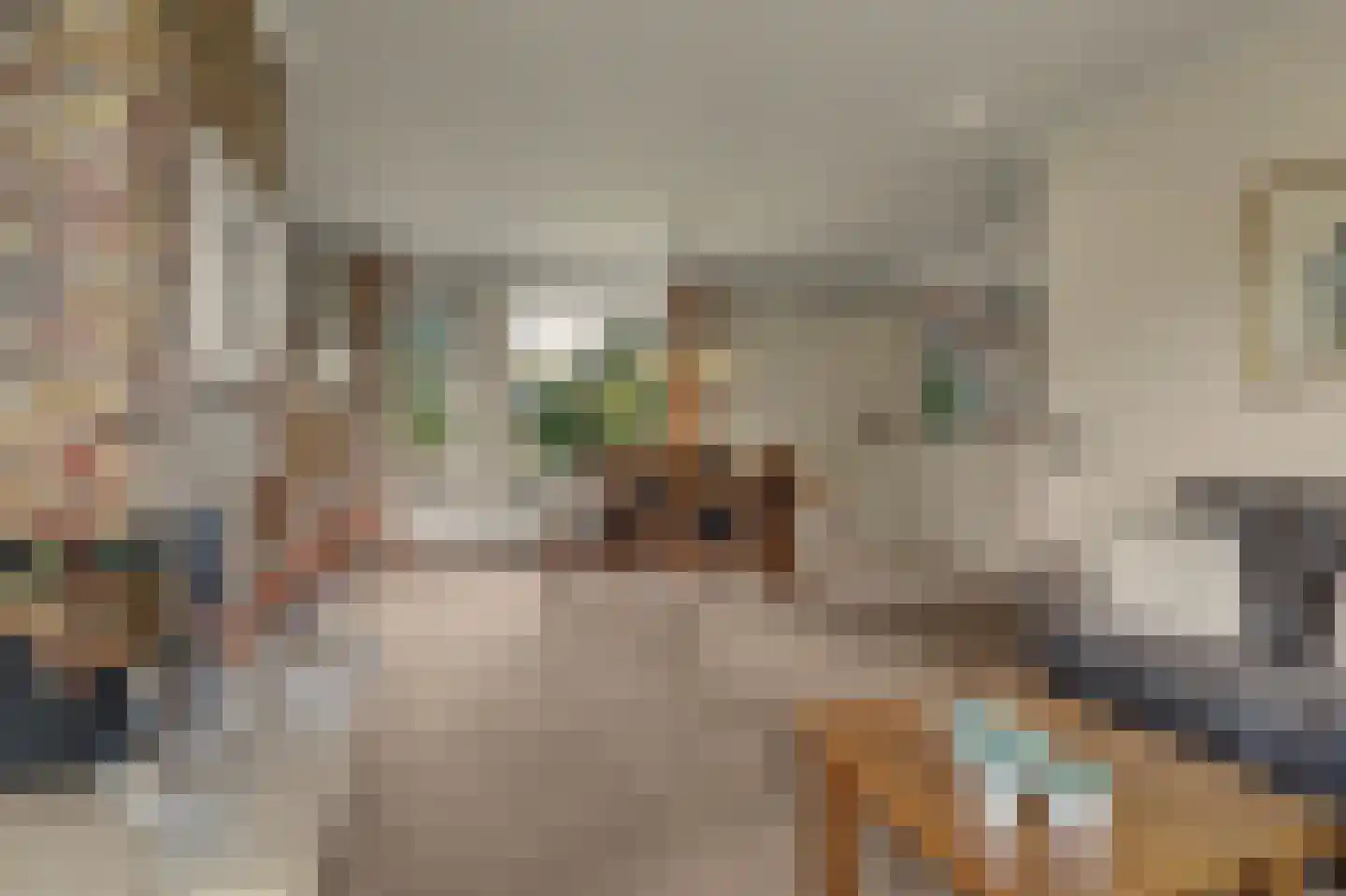 De Vliegert 2 Hapert thumbnail 14