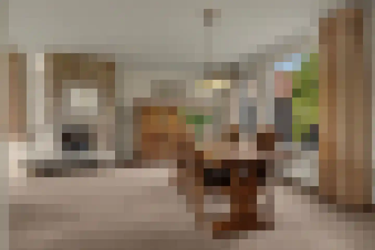 De Vliegert 2 Hapert thumbnail 17