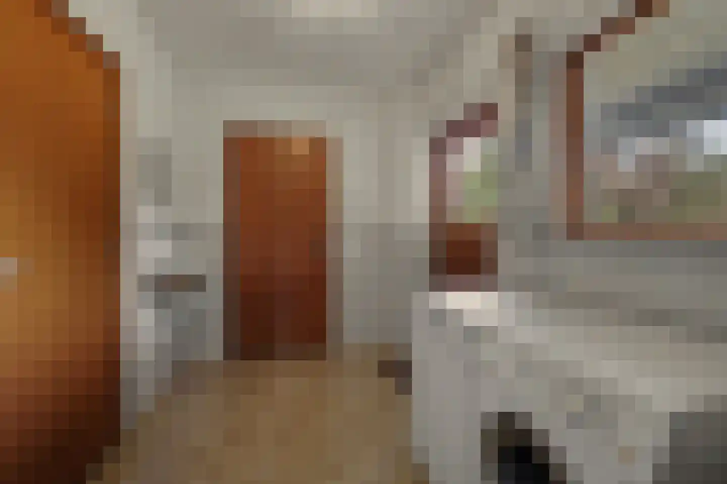 De Vliegert 2 Hapert thumbnail 24