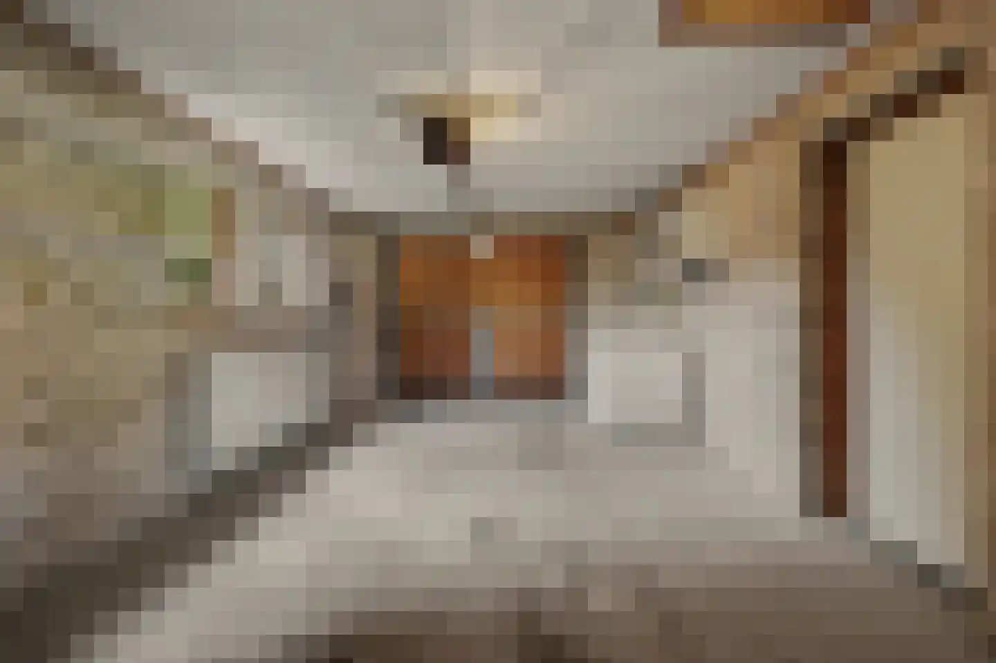 De Vliegert 2 Hapert thumbnail 25