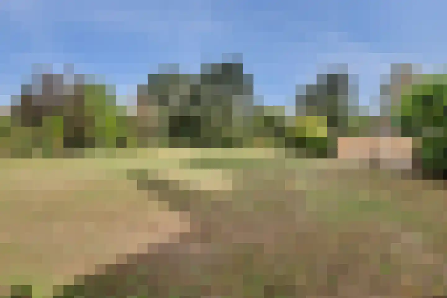 De Vliegert 2 Hapert thumbnail 38