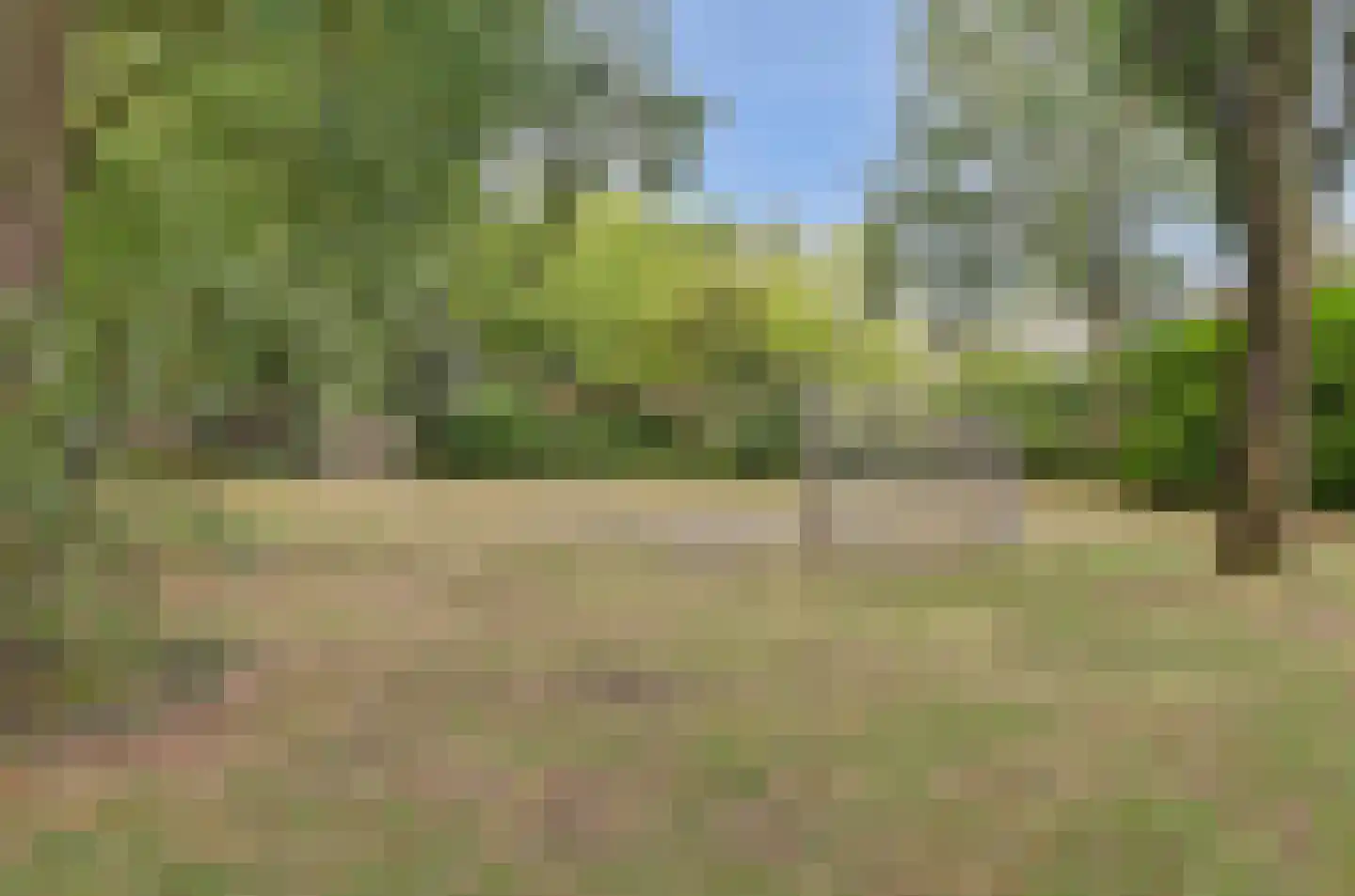 De Vliegert 2 Hapert thumbnail 44