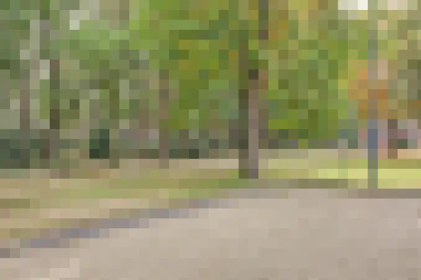 De Vliegert 2 Hapert thumbnail 45