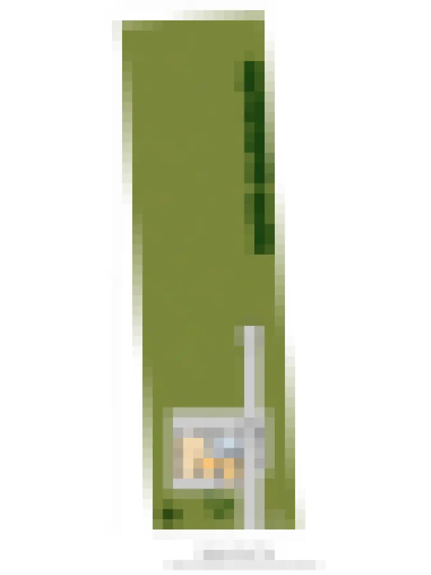 De Vliegert 2 Hapert thumbnail 48