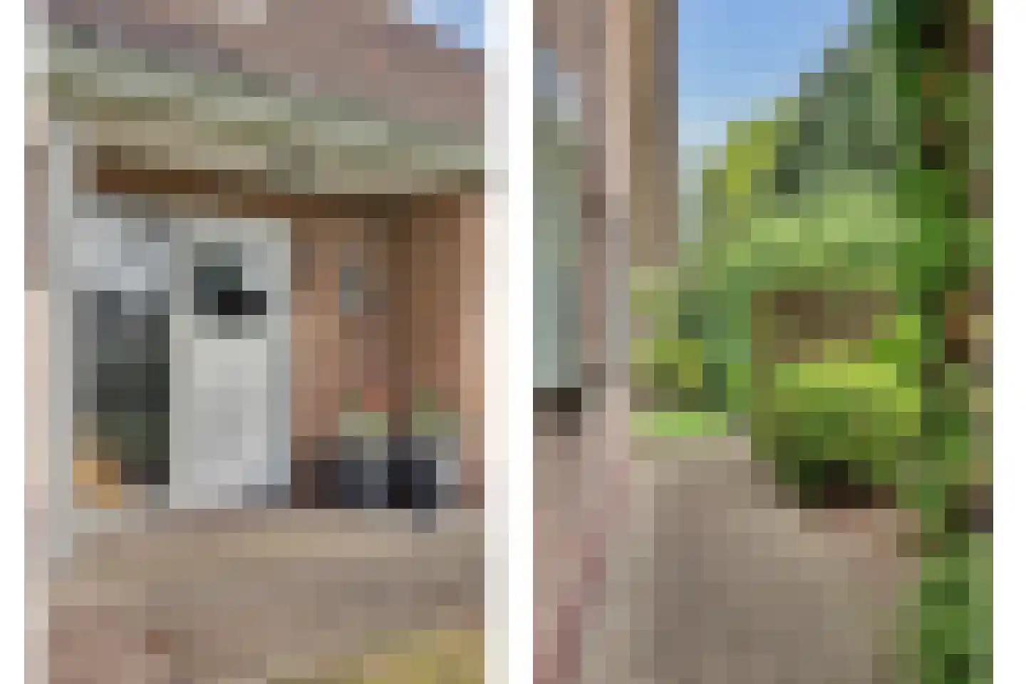 De Vliegert 2 Hapert thumbnail 5