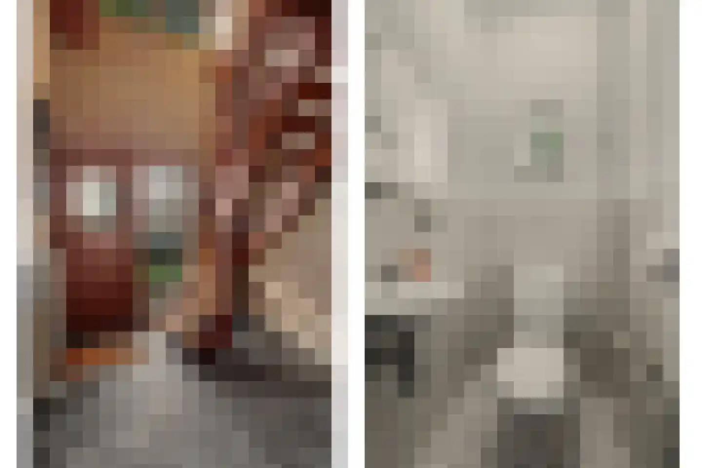 De Vliegert 2 Hapert thumbnail 8