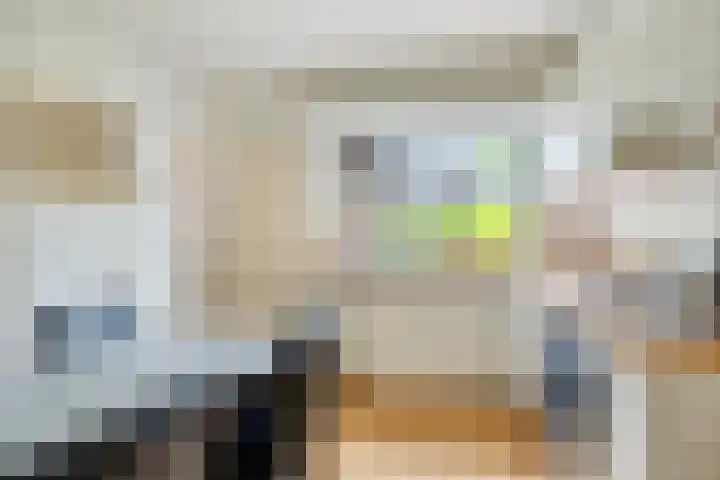 de Vlier 11 Roden thumbnail 12