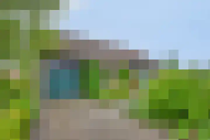 de Vlier 11 Roden foto 2
