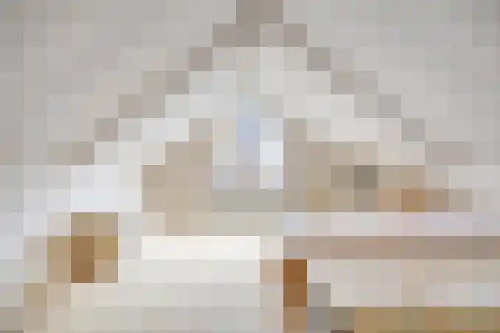 de Vlier 11 Roden thumbnail 22