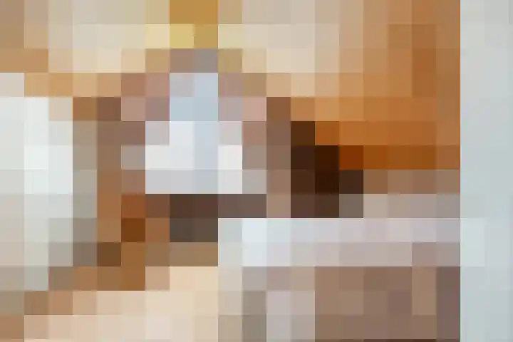 de Vlier 11 Roden thumbnail 26