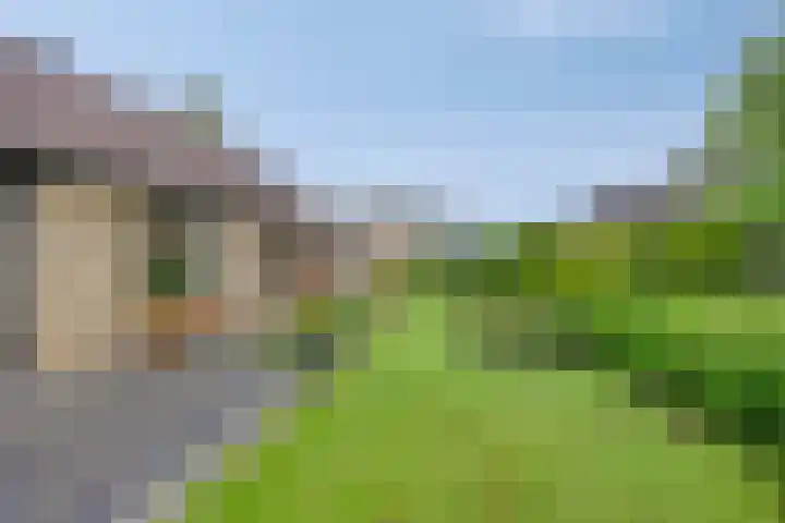 de Vlier 11 Roden thumbnail 29