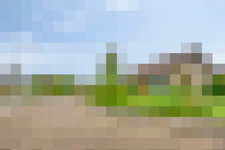 de Vlier 11 Roden foto 3