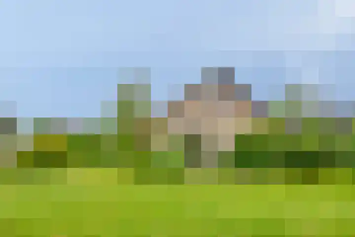 de Vlier 11 Roden thumbnail 31