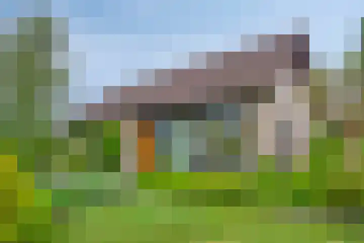 de Vlier 11 Roden thumbnail 41