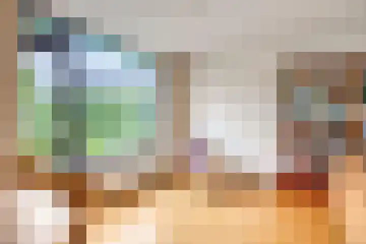 de Vlier 11 Roden thumbnail 9