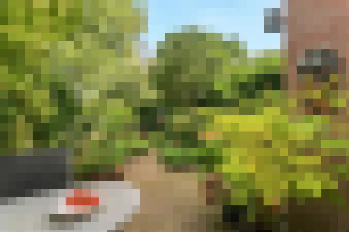 De Vlier 19 Malden thumbnail 36