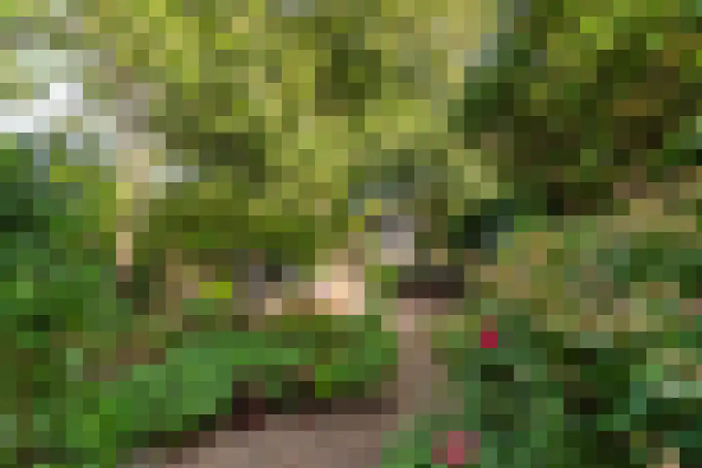 De Vlier 19 Malden thumbnail 37