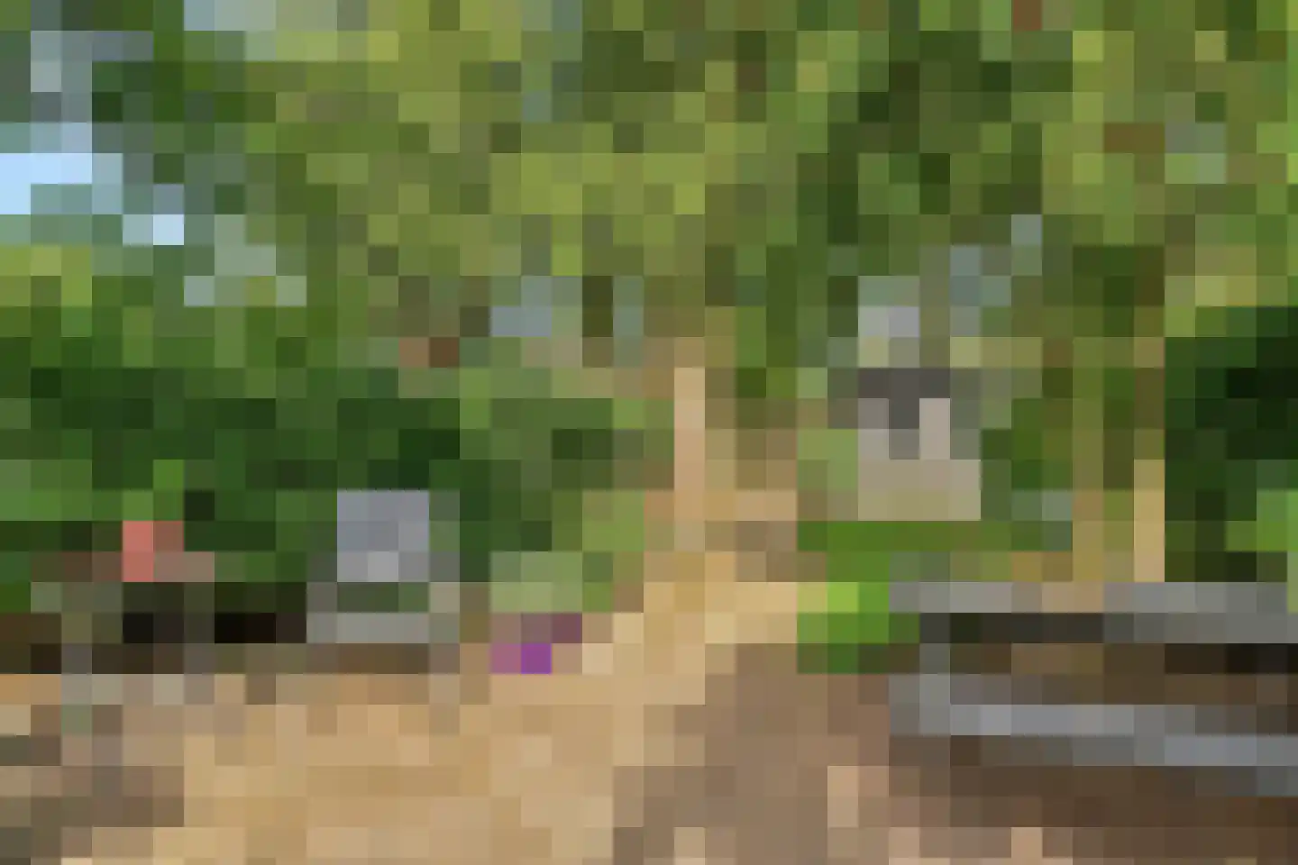 De Vlier 19 Malden thumbnail 38