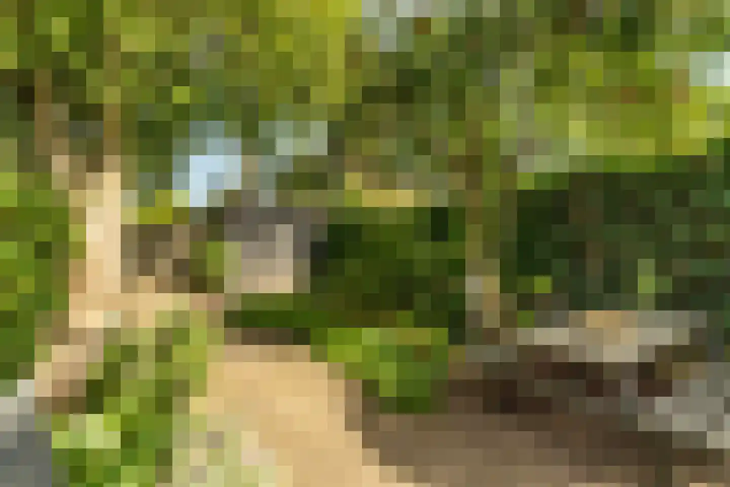 De Vlier 19 Malden thumbnail 39