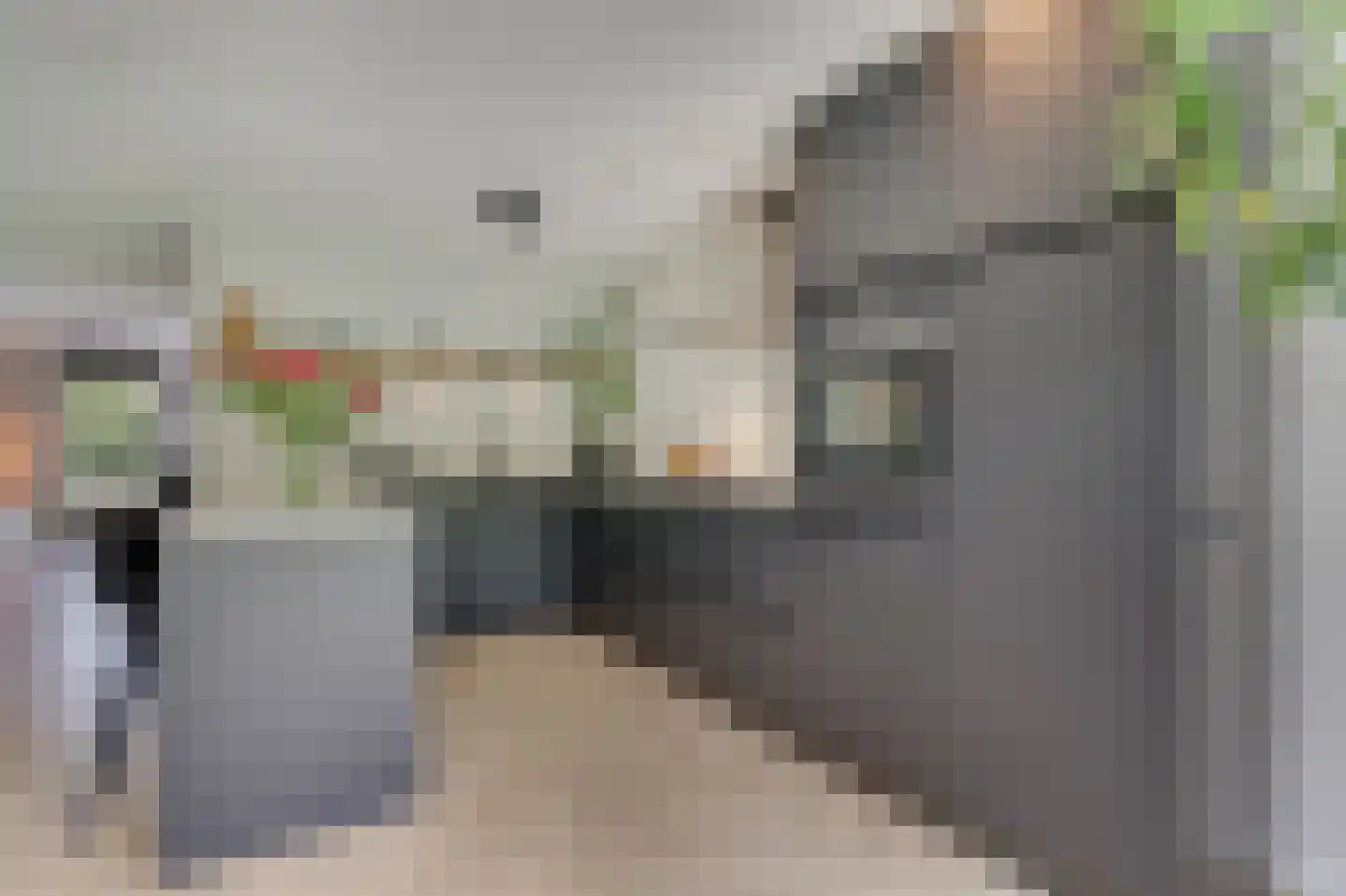 de Vlierbes 131 Doetinchem thumbnail 16