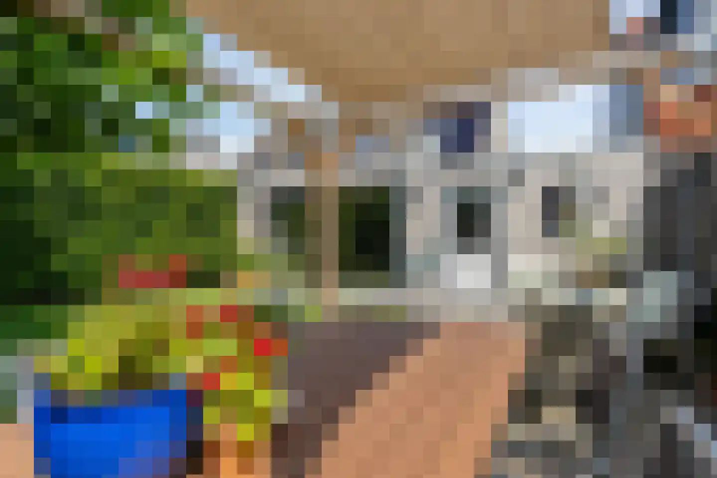 de Vlierbes 131 Doetinchem thumbnail 25