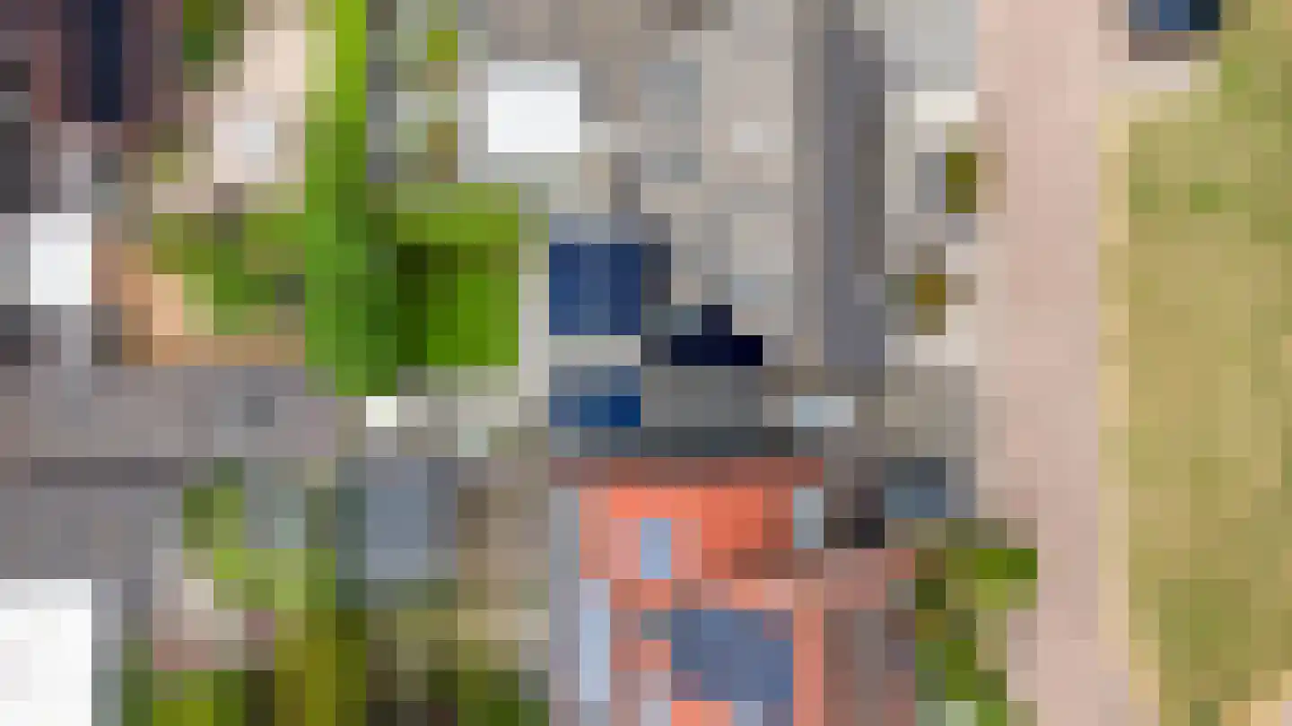de Vlierbes 131 Doetinchem thumbnail 30