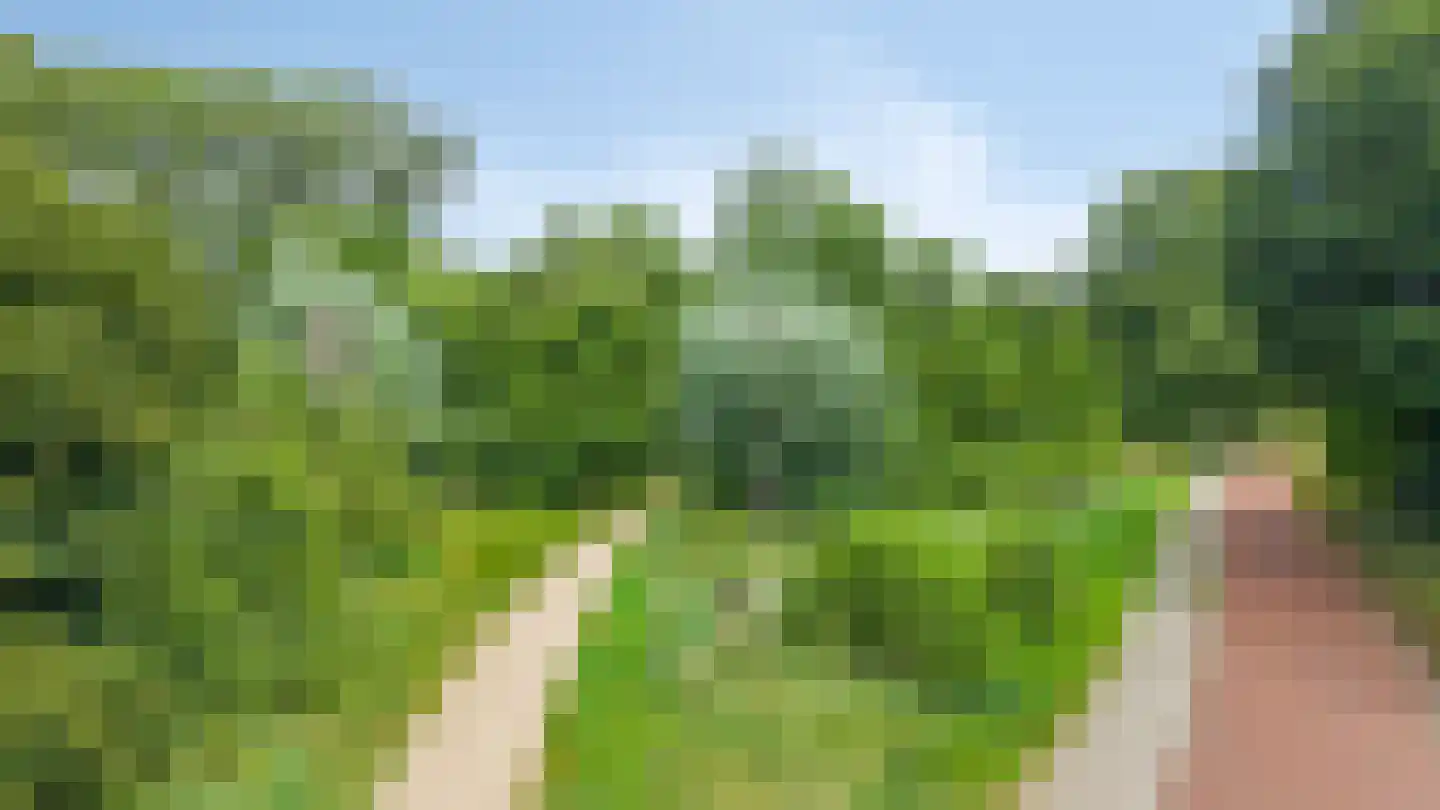de Vlierbes 131 Doetinchem thumbnail 49