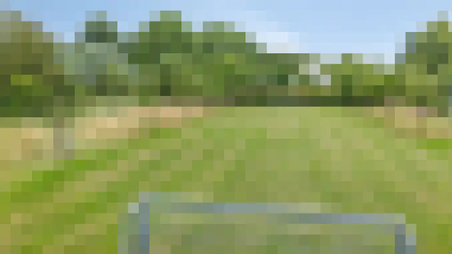 de Vlierbes 131 Doetinchem thumbnail 50