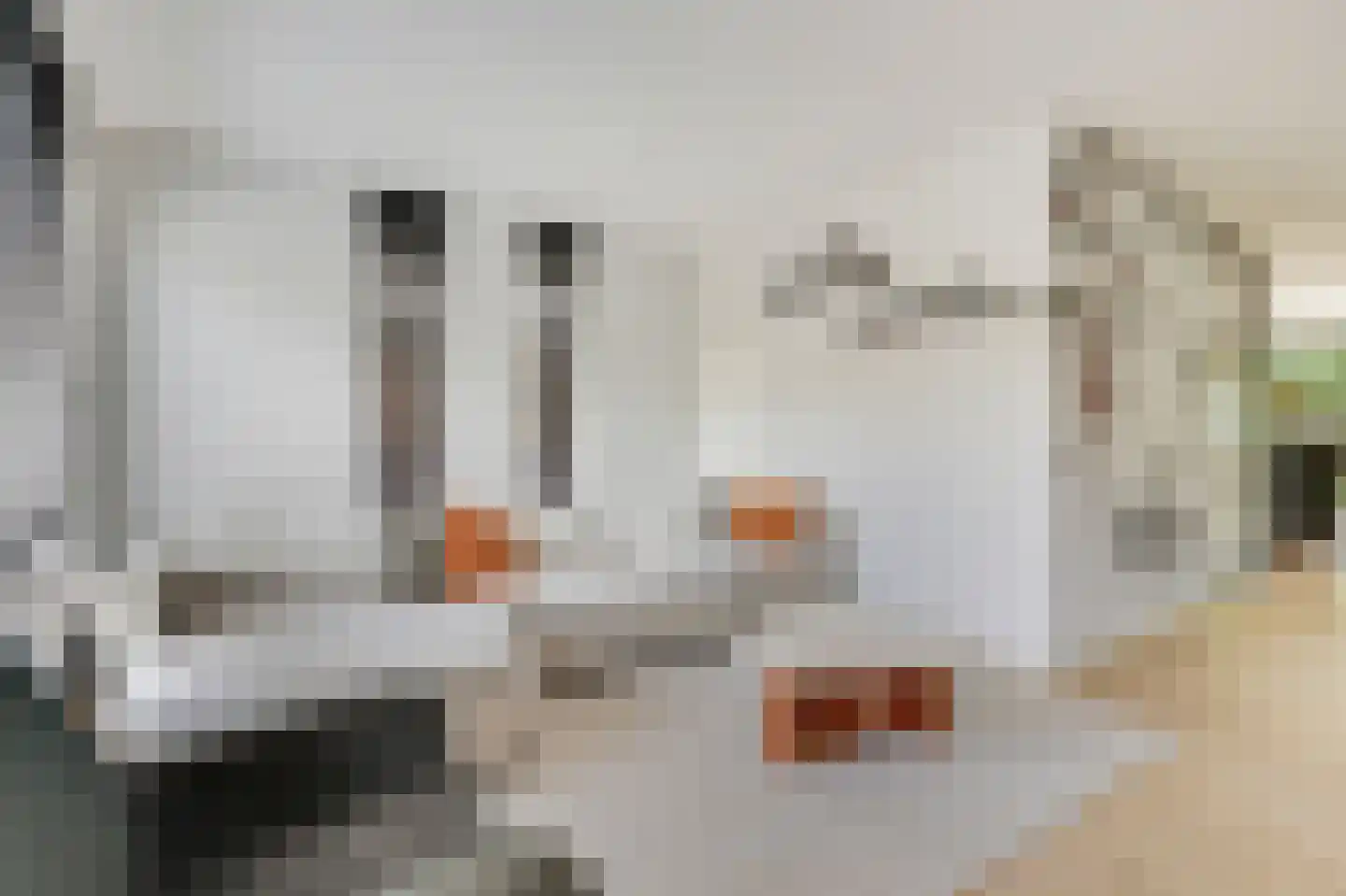 de Vlierbes 131 Doetinchem thumbnail 8