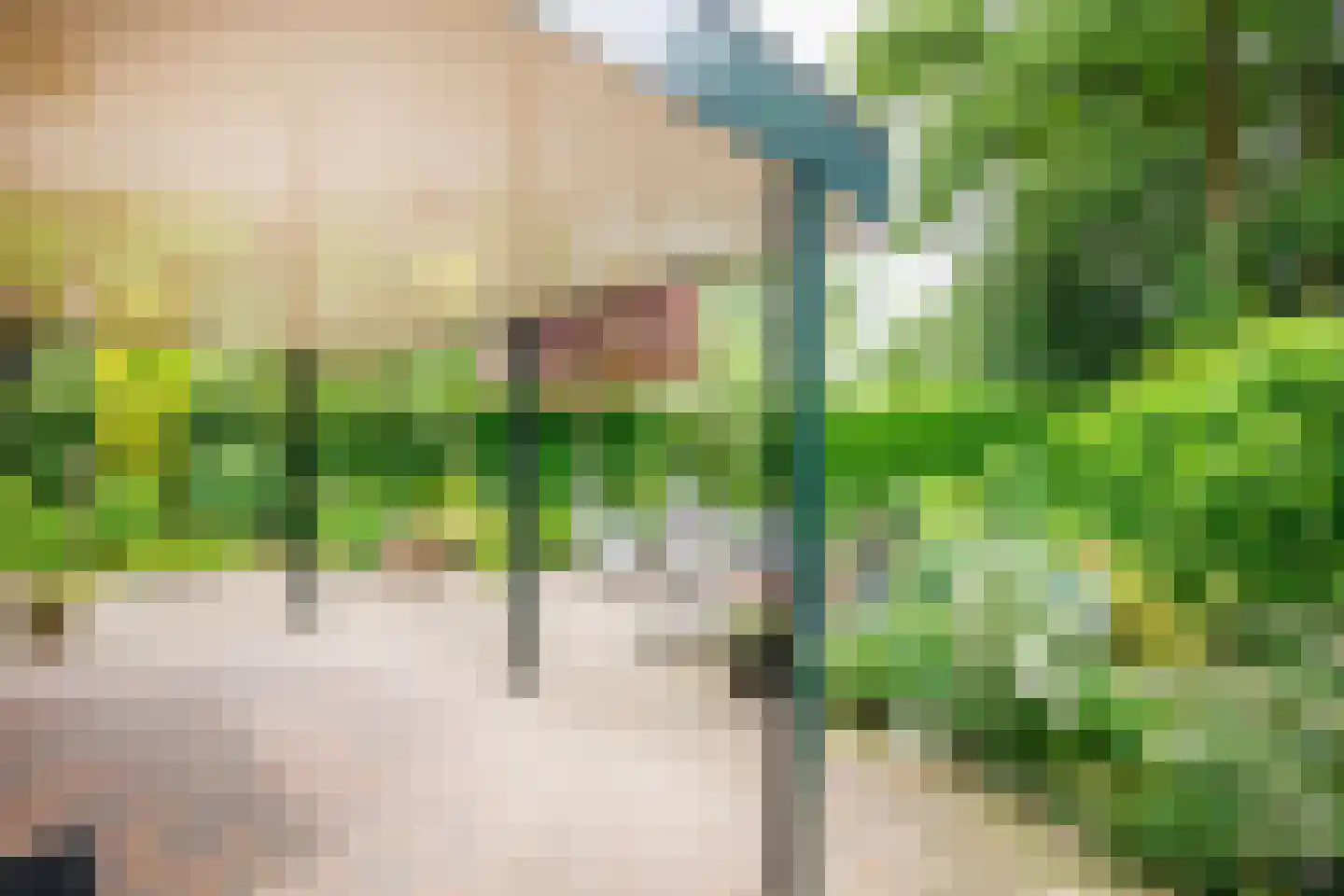 de Vlierbes 147 Doetinchem thumbnail 17