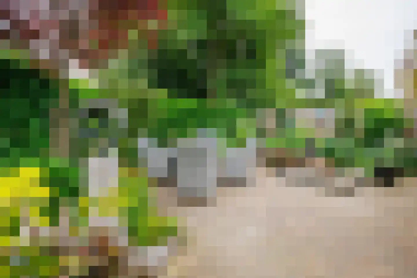 de Vlierbes 147 Doetinchem thumbnail 18