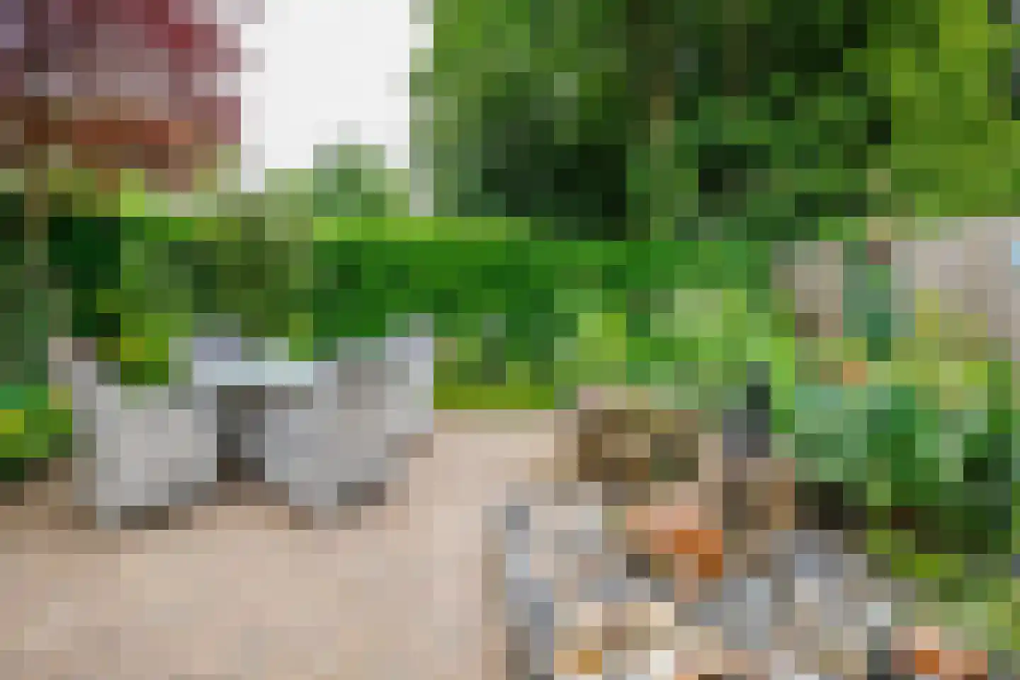 de Vlierbes 147 Doetinchem thumbnail 19