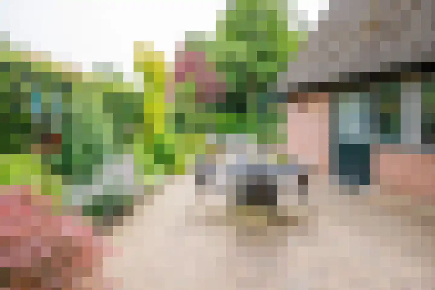 de Vlierbes 147 Doetinchem thumbnail 21