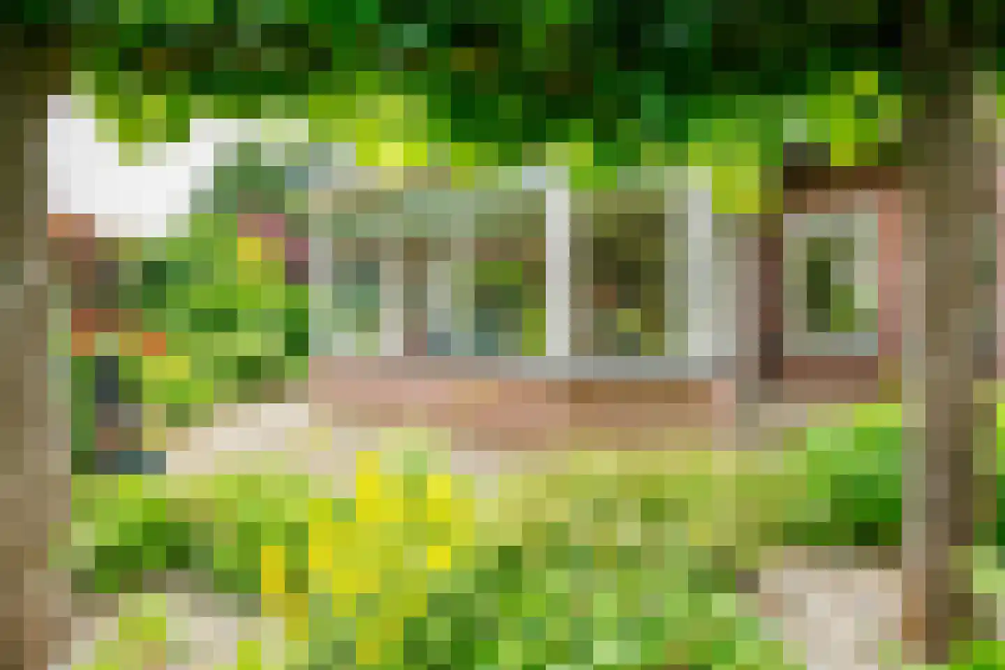de Vlierbes 147 Doetinchem thumbnail 22