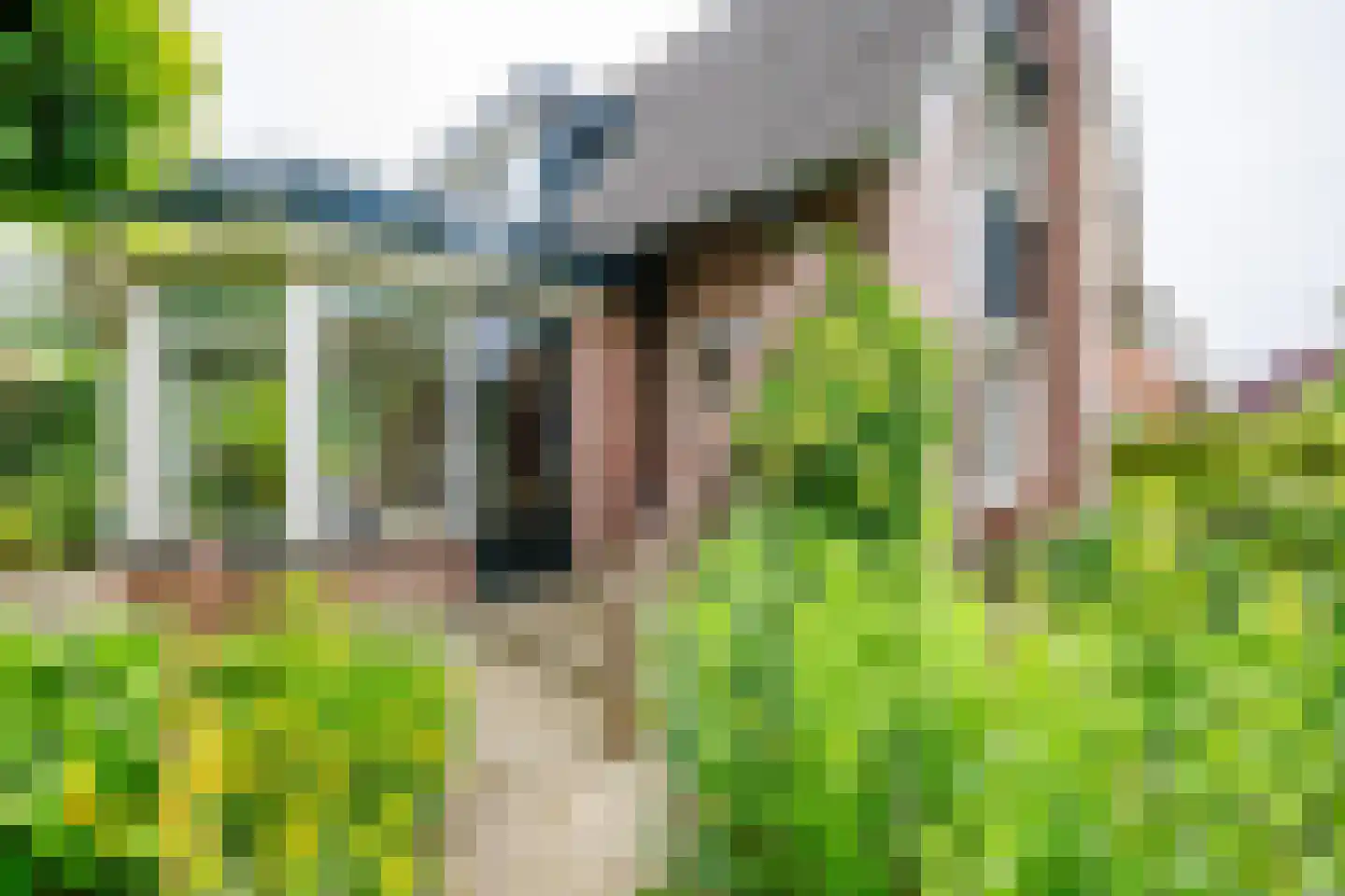 de Vlierbes 147 Doetinchem thumbnail 23