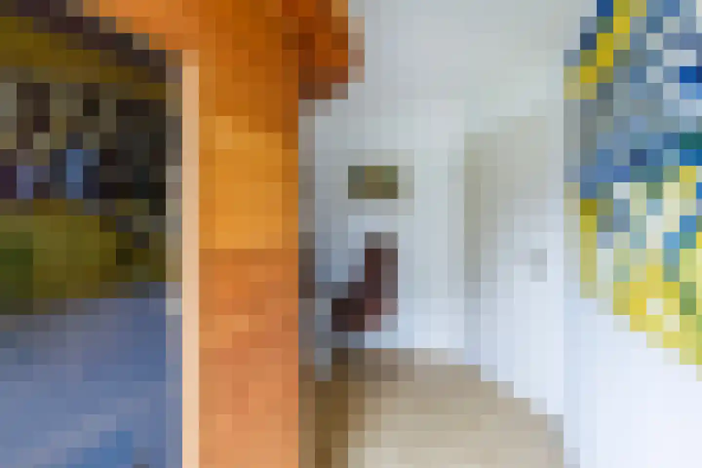 de Vlierbes 147 Doetinchem thumbnail 35
