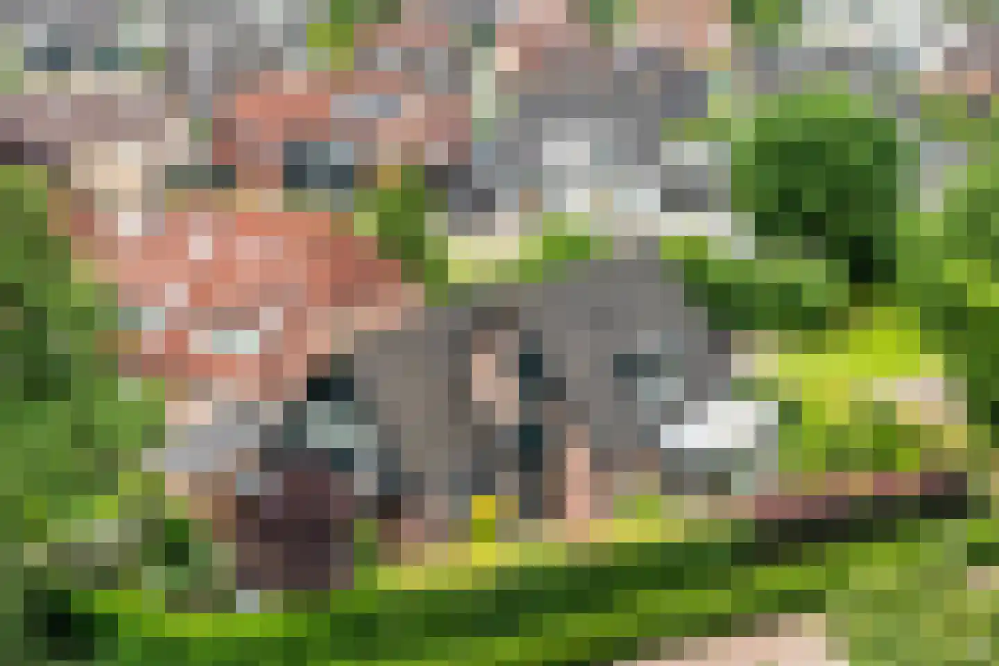 de Vlierbes 147 Doetinchem thumbnail 48