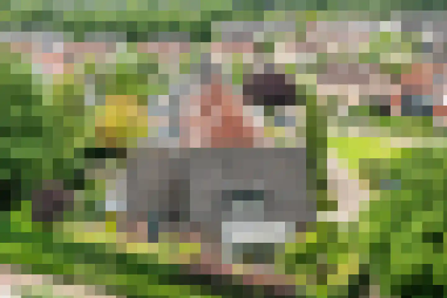 de Vlierbes 147 Doetinchem thumbnail 49