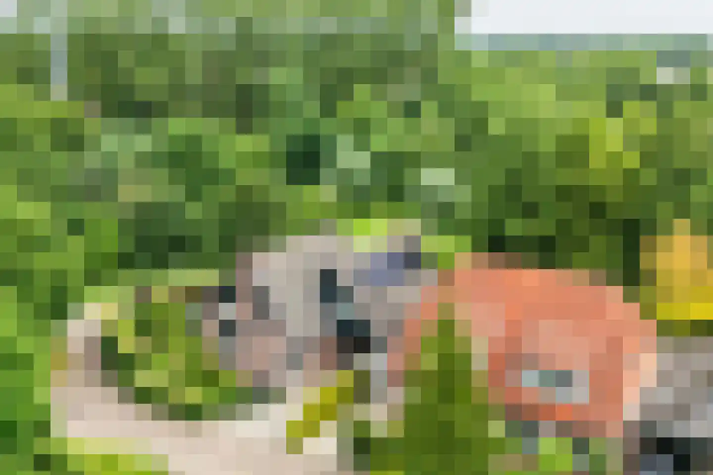 de Vlierbes 147 Doetinchem thumbnail 50