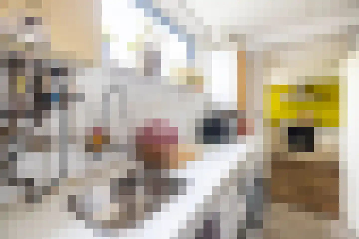 de Vlierbes 15 Doetinchem thumbnail 11
