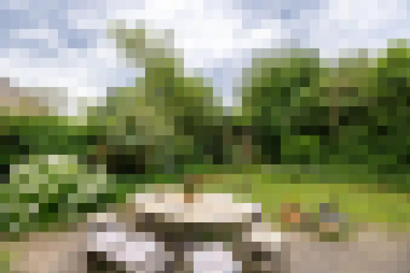 de Vlierbes 15 Doetinchem thumbnail 15