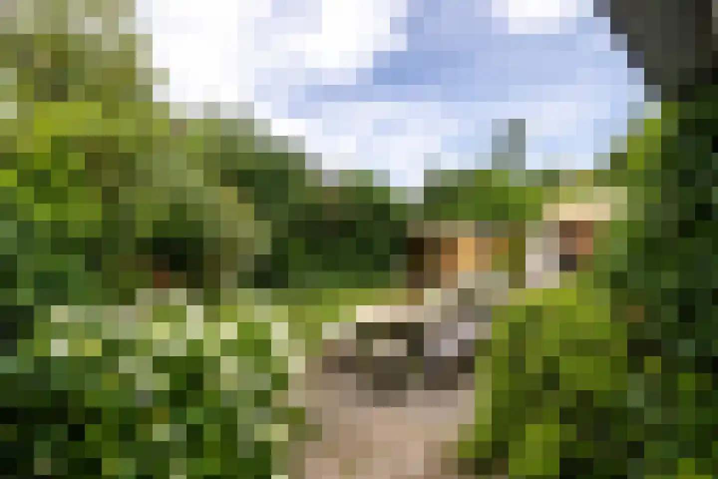 de Vlierbes 15 Doetinchem thumbnail 16